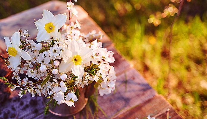 포토 JPG 해외이미지 꽃 분홍색 꽃무늬 자연 주전자 사람없음 가로 뷰티 성장 벚꽃 흰색 나뭇가지 체리 고립 살구 해외포토 나무 식물 컬러 무늬 과일 주방용품 생태계 파일형식 이미지허브