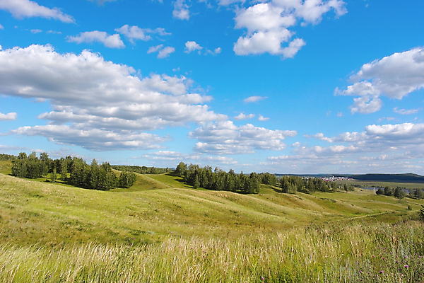 포토 JPG 해외이미지 나무 식물 구름 여행 백그라운드 밭 자연 하늘 휴가 풍경 사람없음 야외 초록색 여름 파란색 농장 맑음 흰색 숲 언덕 자작나무 해외포토 자연요소 계절 컬러 농업 날씨 생태계 파일형식 이미지허브