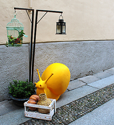 포토 JPG 해외이미지 식물 조각 채소 조류 호박 미술 사람없음 목재 장식 상자 노란색 바구니 꽃병 등불 도시 플라스틱 새장 봉 거인 수공예 구성 땅바닥 옛날 해외포토 나무 동물 꽃 컬러 재료 재질 문화예술 조명 바닥 공예 케이지 파일형식 이미지허브