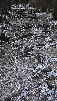 포토 JPG 해외이미지 계절 겨울 자연 날씨 사람없음 추위 흰색 크리스탈 서리 결정체 숙성 겨울풍경 해외포토 컬러 풍경 광석 생태계 파일형식 이미지허브