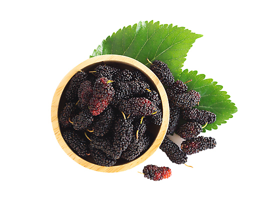 포토 JPG 해외이미지 백그라운드 다이어트 재료 자연 디저트 요리 사람없음 목재 빨간색 여름 보라색 흰색 그룹 사발 맛 유기농 내추럴 고립 채식주의자 해외포토 나무 웰빙 계절 음식 컬러 컨셉 건강 사기그릇 생태계 채식 파일형식 이미지허브