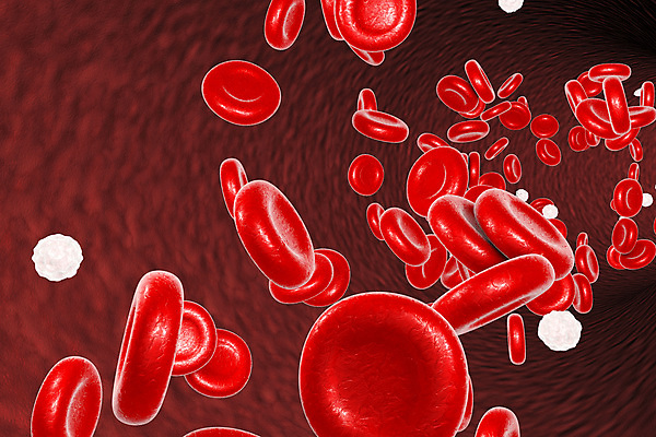 포토 JPG 해외이미지 세포 사람없음 3D 적혈구 혈구 백혈구 해외포토 디지털합성 혈관 파일형식 이미지허브