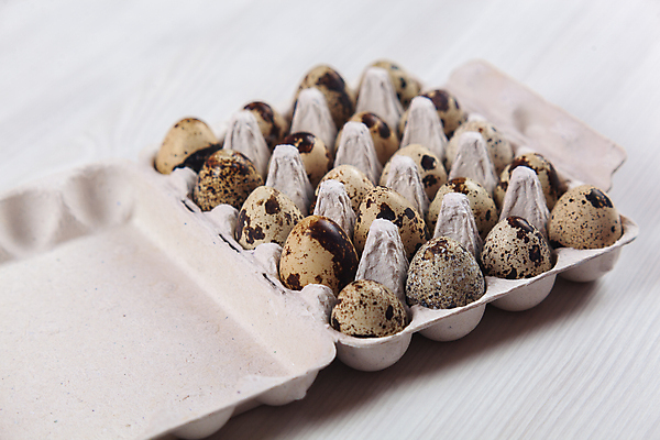 포토 JPG 해외이미지 전통 디자인 계절 음식 백그라운드 패턴 재료 자연 휴가 부활절 건강 사람없음 목재 장식 상자 농장 갈색 계란 축제 치킨 흰색 시골 축하 신선 그룹 아침식사 상품 작음 컨테이너 먹기 심볼 깃털 유기농 팩 내추럴 단백질 메추리 콘크리트 해외포토 나무 웰빙 기념일 산업 컬러 컨셉 무늬 농업 모션 알 식사 화장품 크기 생태계 닭고기요리 영양소 파일형식 이미지허브