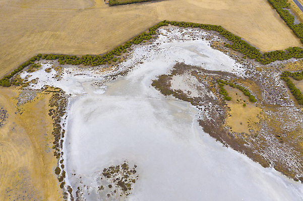 포토 JPG 해외이미지 나무 식물 선 잎 밭 농업 자연 하늘 안테나 사람없음 야외 목재 초록색 물 농장 갈색 환경 흰색 시골 호주 댐 질감 소금 지역 가뭄 내추럴 기후변화 드론 밭일 삼림지대 오지 해외포토 자연요소 공공시설 산업 컬러 재료 통신 날씨 변화 오세아니아 숲 생태계 파일형식 이미지허브