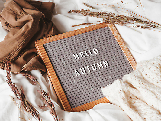 포토 JPG 해외이미지 식물 영어 옷 액자 실내 액자틀 사람없음 장식 해외포토 문자 틀 내부 파일형식 이미지허브