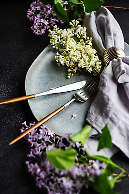 포토 JPG 해외이미지 접시 포크 잎 검은배경 사람없음 나이프 천 냅킨 라일락 해외포토 식물 식기 꽃 백그라운드 검은색 직물 칼 파일형식 이미지허브