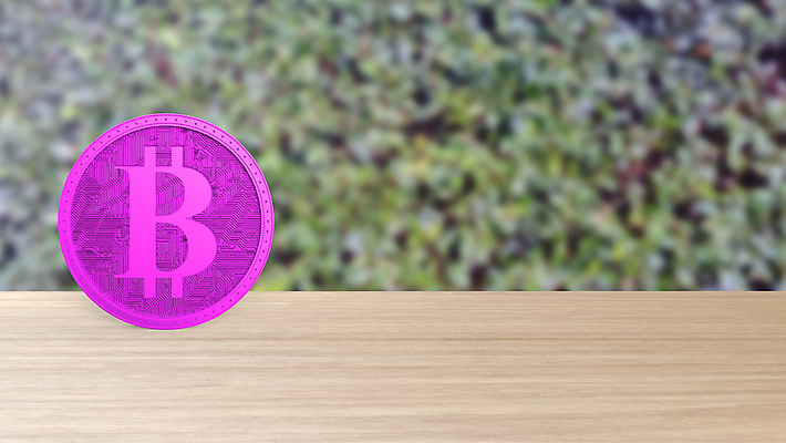 포토 JPG 해외이미지 아이콘 분홍색 컨셉 잎 돈 인터넷 비즈니스 탁자 사람없음 목재 금융 경제 3D 금속 디지털 동전 웹 성장 네트워크 시장 황금 암호 구매 위험 발굴 심볼 사인 무역 순환 상업 만들기 전자 토막 해킹 해커 경영 가상 가상화폐 해외포토 나무 식물 산업 컬러 가구 재료 모션 재질 쇼핑 범죄 재산 디지털합성 파일형식 이미지허브