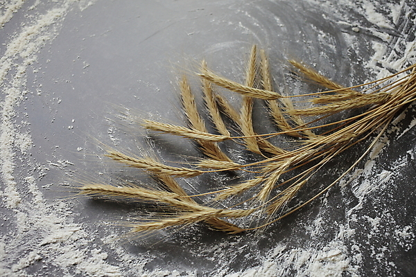 포토 JPG 해외이미지 식물 음식 빵 줄기 조각 백그라운드 농업 탁자 건강 옥수수 요리 씨앗 사람없음 농작물 우주 주방 빵집 회색 수확 흰색 시골 아침식사 낟알 시리얼 밀 다발 보따리 유기농 보리 귀 밀가루 밀짚 내추럴 숙성 제빵사 채식주의자 콘크리트 호밀 카피스페이스 귀리 해외포토 직업 웰빙 산업 컬러 가구 곡류 신체부위 상점 식사 공백 짚 가루 채식 파일형식 이미지허브