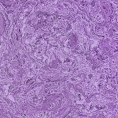 포토 JPG 해외이미지 디자인 배너 종이 벽 백그라운드 패턴 오렌지 벽지 표면 추상 프레임 미술 사람없음 장식 초록색 파란색 빛 우주 보라색 공백 회색 수확 덮개 거친 조직 닫기 낟알 질감 복고 내추럴 판지 그런지 새기다 양피지 옛날 효과 해외포토 컬러 무늬 농업 과일 모션 문화예술 뚜껑 파일형식 이미지허브