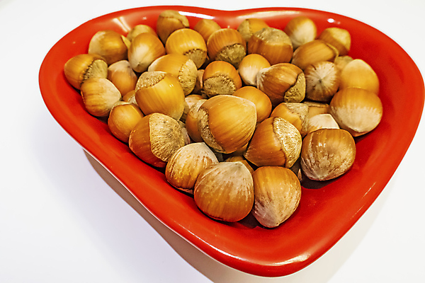 포토 JPG 해외이미지 그릇 재료 실내 사람없음 흰배경 개암나무 헤이즐넛 개암 해외포토 나무 식기 열매 백그라운드 내부 견과류 흰색 파일형식 이미지허브