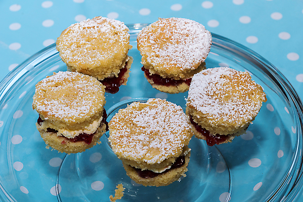 포토 JPG 해외이미지 음식 조각 백그라운드 과일 디저트 사람없음 빨간색 케이크 흰색 신선 달콤 보호 잼 자르기 굽기 크림 층 스펀지 미니 해외포토 컬러 컨셉 모션 소스_음식 맛 구이 파일형식 이미지허브