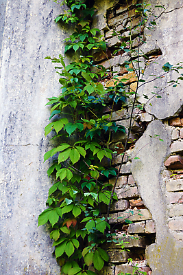 포토 JPG 해외이미지 산업 벽 백그라운드 건축양식 창문 공장 벽돌 주택 실내 사람없음 내부 건물 빛 어둠 페인트 손상 방 회색 수확 바위 시골 도시 폐기물 버리기 창고 복고 과거 먼지 구식 그런지 깨짐 옛날 파멸 오싹 해외포토 건축물 건축 컬러 컨셉 농업 공업 모션 돌_바위 쓰레기 파일형식 소멸 이미지허브