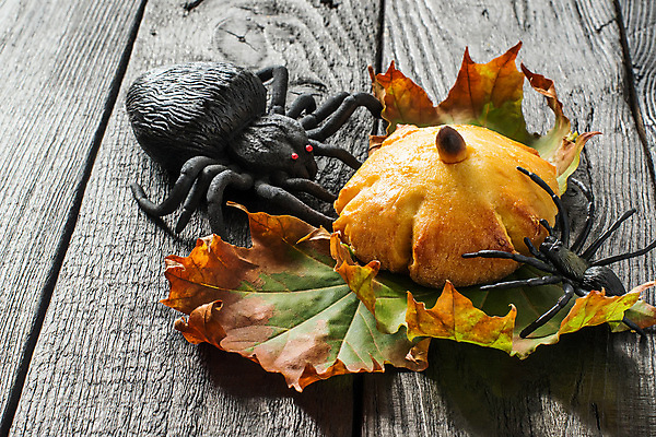 포토 JPG 해외이미지 모양 캐릭터 계절 음식 채소 호박 휴가 디저트 기념 요리 씨앗 사람없음 목재 장난감 갈색 노란색 파티 케이크 저녁식사 할로윈 껍질 대접 신선 그룹 황금 달콤 맛 아침식사 굽기 먹기 준비 반죽 브런치 거미 아몬드 10월 번 이스트 페스츄리 핸드메이드 해외포토 나무 식물 빵 컬러 곤충 컨셉 재료 모션 이벤트 식사 견과류 날짜 구이 파일형식 이미지허브