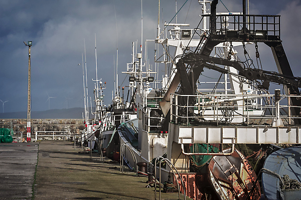 포토 JPG 해외이미지 동물 전통 산업 바다 여행 컨셉 요트 비즈니스 하늘 낚시 항해 어류 사람없음 물 마을 항구 업무 보트 스페인 석유 위험 어부 실업 상업 낚시꾼 포트 어장 돛대 위기 해외포토 자연요소 직업 유럽 배_교통 교통시설 레저 수중동물 작업 파일형식 이미지허브