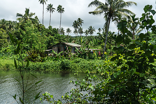 포토 JPG 해외이미지 나무 식물 전통 문화 호수 여행 백그라운드 건축양식 자연 낚시 주택 손바닥 사람없음 건물 물 강 마을 환경 덮개 시골 만 숲 오두막 가난 빈민가 생태학 판잣집 그리너리 해외포토 자연요소 건축물 손 교육 건축 컨셉 레저 뚜껑 생태계 파일형식 트랜드컬러 이미지허브