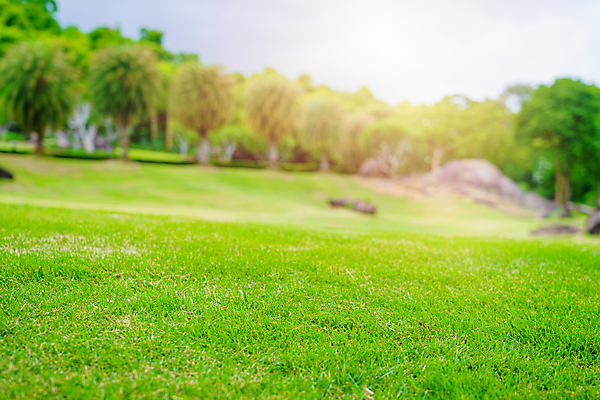 포토 JPG 해외이미지 나무 구름 라이프스타일 공원 스포츠 분홍색 여행 백그라운드 밭 골프 자연 놀이 하늘 휴가 손바닥 풍경 잔디 사람없음 야외 초록색 여름 파란색 뷰티 일출 보라색 침묵 일몰 게임 고급 야간 강의 자르기 클럽 휴양지 장면 공화국 땅바닥 법정 파라다이스 해외포토 자연요소 식물 손 계절 공공시설 나라 컬러 컨셉 농업 모션 바닥 생활 구기 노을 소리 장소 생태계 파일형식 이미지허브
