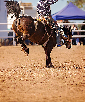 포토 JPG 해외이미지 동물 남자 밧줄 스포츠 포즈 모션 부츠 사람없음 달러 점프 가축 경쟁 경기장 공연 시골 자신감 거친 승마 카우보이 호주 승차 주식 위험 속도 먼지 안장 로데오 라이더 서쪽 어려움 오지 카피스페이스 해외포토 감정 줄 신발 컨셉 돈 스포츠시설 사람 이벤트 금융 공백 오세아니아 방향 파일형식 이미지허브