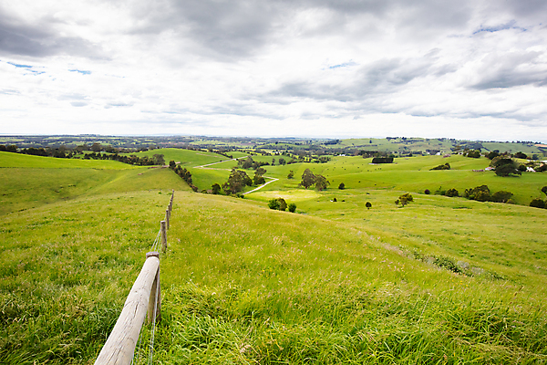 포토 JPG 해외이미지 나무 호수 섬 여행 자연 하늘 휴가 산 사람없음 야외 초록색 햇빛 농장 농경지 황무지 호주 언덕 내추럴 멜버른 절정 해외포토 식물 컬러 농업 태양 오세아니아 생태계 파일형식 이미지허브