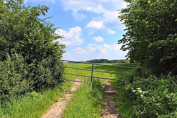 포토 JPG 해외이미지 나무 구름 계절 공원 유럽 도로 길 선 여행 밭 농업 곡선 교통시설 자국 자연 하늘 거리 독일 풍경 사람없음 야외 목재 초록색 여름 파란색 농경지 봄 산책 하이킹 시골 고속도로 숲 오솔길 아스팔트 내추럴 방법 수평선 해외포토 자연요소 식물 공공시설 나라 산업 컬러 교통 재료 레저 휴식 농장 시설 생태계 파일형식 이미지허브
