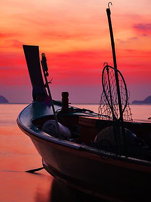 포토 JPG 해외이미지 전통 아시아 모래 파도 바다 여행 태국 하늘 휴가 동양인 사람없음 초록색 물 파란색 태양 뷰티 맑음 흰색 보트 언덕 꼬리 석회암 안다만 이국적 터키석 파라다이스 해외포토 자연요소 나라 컬러 배_교통 날씨 인종 암석 보석 파일형식 이미지허브