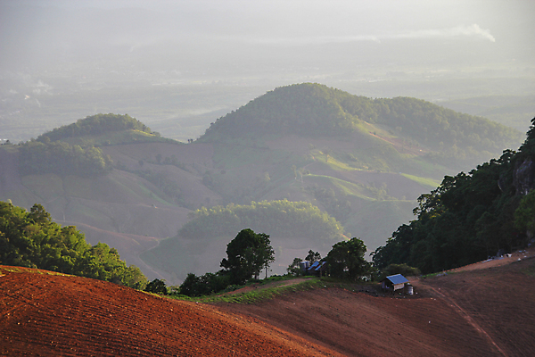 포토 JPG 해외이미지 나무 계절 공원 여행 백그라운드 태국 자연 하늘 아침 휴가 휴식 산 텐트 사람없음 야외 초록색 파란색 햇빛 태양 뷰티 여행객 일출 일몰 하이킹 안개 흰색 숲 캠핑장 언덕 장면 내추럴 뿌연 해외포토 주간 자연요소 식물 공공시설 아시아 컬러 컨셉 레저 날씨 캠핑도구 사람 노을 캠핑 생태계 파일형식 이미지허브