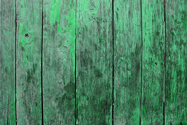 포토 JPG 해외이미지 나무 디자인 외관 벽 조각 백그라운드 패턴 자연 표면 추상 바닥 프레임 건조 미술 사람없음 내부 목재 가로 초록색 빛 페인트 공백 수확 골동품 소나무 판넬 널 매끈함 묘사 즐거움 질감 잡동사니 내추럴 수목 엘리먼트 옛날 합판 카피스페이스 해외포토 식물 감정 컬러 무늬 농업 재료 문화예술 감각 생태계 파일형식 이미지허브