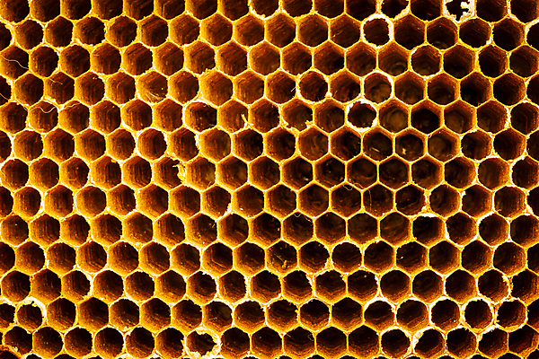 포토 JPG 해외이미지 음식 컨셉 재료 자연 유리 탁자 디저트 세포 건강 요리 사람없음 노란색 우주 시골 신선 머리빗 항아리 액체 막대기 사발 황금 달콤 상품 정상 국자 유기농 밀가루 꿀 내추럴 밀랍 왁스 핸드메이드 해외포토 웰빙 컬러 가구 재질 주방용품 미용용품 도자기 사기그릇 맛 가루 생태계 파일형식 이미지허브