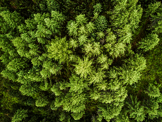 포토 JPG 해외이미지 나무 식물 구름 호수 여행 잎 모션 자연 하늘 풍경 사람없음 야외 목재 초록색 물 여름 강 햇빛 뷰티 반사 환경 이탈리아 활발 폭포 젖음 흐름 바위 나뭇가지 연못 신선 액체 개울 떨어짐 숲 순수 속도 드론 생태학 파라다이스 해외포토 자연요소 계절 교육 유럽 컬러 컨셉 재료 태양 돌_바위 생태계 파일형식 이미지허브