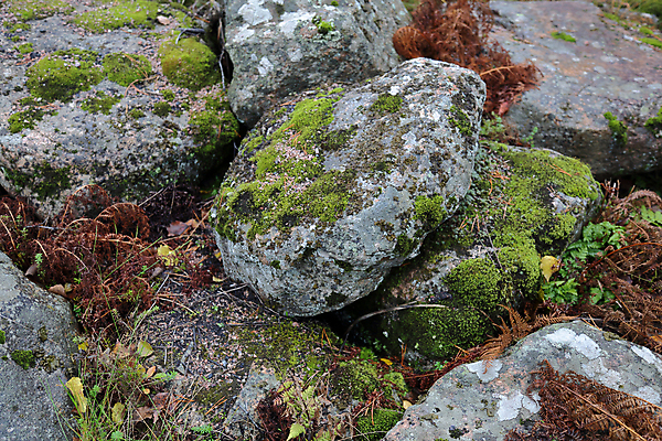 포토 JPG 해외이미지 디자인 도로 벽 백그라운드 패턴 표면 거리 바닥 사람없음 계단 회색 조약돌 바위 거친 질감 층 단계 내추럴 그런지 땅바닥 해외포토 길 컬러 무늬 교통시설 돌_바위 파일형식 이미지허브