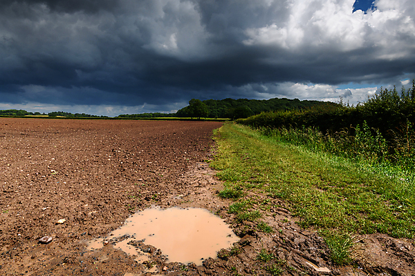 포토 JPG 해외이미지 주간 계절 농업 자연 하늘 휴가 영국 잉글랜드 풍경 사람없음 야외 초록색 여름 관광지 울타리 뷰티 농경지 평화 사진촬영 침묵 봄 시골 땅 그림 장면 방문 내추럴 해외포토 자연요소 유럽 산업 컬러 여행 컨셉 담장 농장 촬영 소리 생태계 파일형식 이미지허브