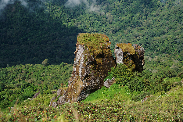 포토 JPG 해외이미지 여행 백그라운드 태국 자연 휴가 멕시코 사랑 사람없음 목재 초록색 파란색 맑음 하트 마음 심볼 감사 장면 로스앤젤레스 고립 해외포토 모양 나무 감정 아시아 컬러 북아메리카 재료 날씨 미국 생태계 파일형식 이미지허브