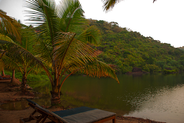 포토 JPG 해외이미지 나무 식물 구름 디자인 공원 호수 여행 백그라운드 자연 하늘 열대 주택 바나나 풍경 사람없음 초록색 물 여름 맑음 미국 활발 시골 연못 보트 인도인 운하 장면 코코넛 남쪽 마이애미 뱃놀이 케랄라주 플로리다 해외포토 자연요소 외국인 계절 공공시설 컬러 컨셉 북아메리카 배_교통 과일 날씨 동양인 건물 전통놀이 인도_나라 방향 생태계 파일형식 이미지허브
