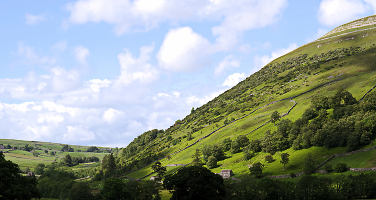 포토 JPG 해외이미지 나무 공원 벽 밭 농업 자연 하늘 잉글랜드 건조 국립공원 경사 사람없음 초록색 파란색 빛 컬러풀 햇빛 뷰티 농장 농경지 평화 맑음 침묵 농촌 시골 땅 요크셔테리어 언덕 북쪽 멀리 강렬 밭일 전국 해외포토 식물 공공시설 산업 컬러 컨셉 날씨 영국 태양 소리 테리어 방향 생태계 파일형식 이미지허브