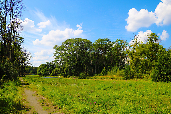 포토 JPG 해외이미지 나무 식물 계절 여행 백그라운드 밭 농업 자연 하늘 날씨 산 잔디 사람없음 야외 초록색 파란색 햇빛 태양 뷰티 농장 환경 맑음 봄 활발 흰색 시골 신선 숲 땅 언덕 장면 내추럴 방법 밭일 평야 수평선 해외포토 자연요소 산업 컬러 컨셉 생태계 파일형식 이미지허브