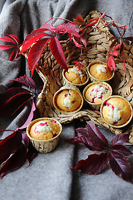 포토 JPG 해외이미지 스튜디오촬영 잎 사람없음 빨간색 볏짚 컵케이크 오브젝트 해외포토 식물 컬러 실내 케이크 짚 파일형식 이미지허브