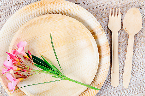 포토 JPG 해외이미지 꽃 실내 사람없음 자연보호 에코 친환경 에코라이프 나무숟가락 나무접시 나무포크 친환경제품 제로웨이스트 나무배경 해외포토 식물 라이프스타일 접시 백그라운드 포크 자연 내부 환경 숟가락 그린캠페인 보호 사회이슈 파일형식 이미지허브