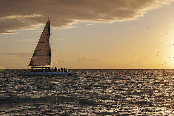 포토 JPG 해외이미지 라이프스타일 실루엣 스포츠 파도 바다 섬 여행 컨셉 요트 오렌지 태국 자연 하늘 바람 휴가 휴식 항해 사람없음 물 빛 컬러풀 태양 일출 일몰 자유 흰색 보트 저녁 크루즈 모터 푸켓 수평선 해외포토 자연요소 아시아 컬러 배_교통 과일 날씨 촬영기법 생활 노을 야간 생태계 파일형식 이미지허브