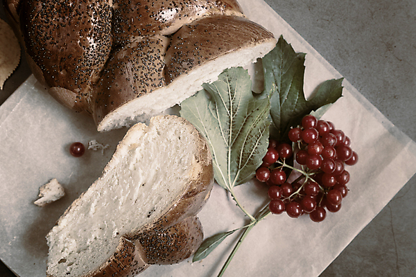 포토 JPG 해외이미지 아이콘 열매 음식 빵 조각 백그라운드 건강 사람없음 가로 갈색 노란색 저녁식사 껍질 흰색 시골 신선 아침식사 상품 낟알 자르기 밀 굽기 오브젝트 질감 슬라이스 밀가루 양귀비 버터 덩어리 건강식 내추럴 고립 탄수화물 핸드메이드 해외포토 식물 꽃 컬러 모션 곡류 식사 가루 구이 파일형식 이미지허브