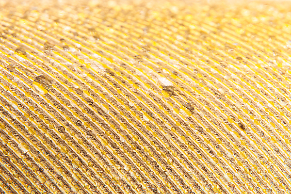 포토 JPG 해외이미지 백그라운드 추상 사람없음 물 떨어짐 순수 깃털 부드러움 해외포토 자연요소 컨셉 무늬 감각 파일형식 이미지허브