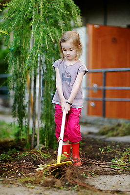포토 JPG 해외이미지 식물 백인 여자 꽃 행복 어린이 음식 잎 자연 건강 한명 사람 취미 야외 초록색 귀여움 환경 정원 흙 봄 수확 성장 공구 업무 유기농 원예 뿌리 갈퀴 돌봄 생태학 원예사 헬프 해외포토 서양인 직업 1 웰빙 계절 교육 감정 컬러 컨셉 농업 모션 도구 작업 도움 생태계 파일형식 이미지허브