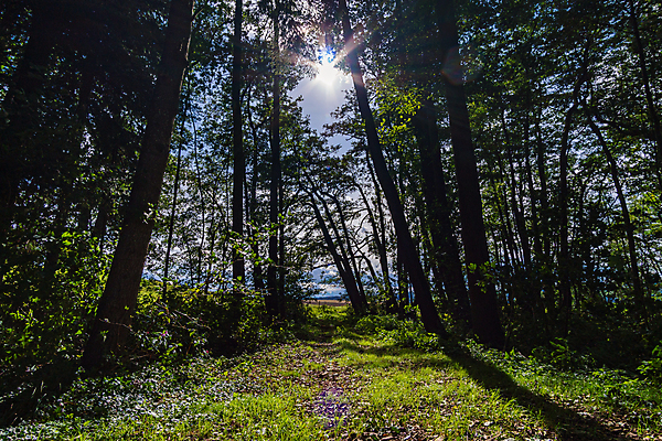 포토 JPG 해외이미지 나무 잎 밭 오렌지 자연 바람 거리 사람없음 책 빨간색 빛 컬러풀 노란색 어둠 산책 하이킹 시골 신선 황금 숲 인도인 위협 보리 뿌리 폭풍 천국 뇌우 방법 폭풍우 해외포토 자연요소 외국인 식물 컬러 농업 과일 레저 날씨 휴식 곡류 동양인 비_날씨 자연재해 생태계 파일형식 이미지허브