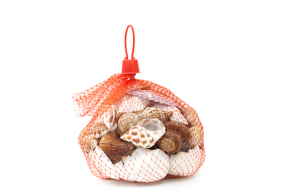 포토 JPG 해외이미지 밧줄 음식 바다 백그라운드 패턴 자연 조개 항해 어류 사람없음 장식 빨간색 컬러풀 뷰티 웹 껍질 흰색 시골 잡기 그물 수집 질감 고립 해외포토 줄 컬러 무늬 인터넷 배_교통 모션 어패류 수중동물 생태계 파일형식 이미지허브