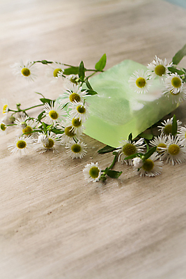 포토 JPG 해외이미지 식물 라이프스타일 웰빙 꽃잎 꽃 밧줄 백그라운드 신체 탁자 휴식 건강 사람없음 목재 치료 초록색 위생용품 뷰티 약 노란색 우주 스파 목욕 화장품 욕실 흰색 신선 바 선택 씻기 상품 허브 피부 유기농 데이지 만들기 비누 내추럴 돌봄 위생관리 캐모마일 핸드메이드 해외포토 나무 줄 컬러 가구 생활용품 컨셉 재료 의학 모션 관리 생활 신체부위 청결 파일형식 이미지허브