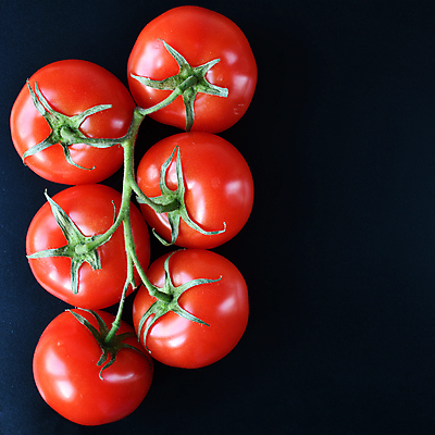포토 JPG 해외이미지 음식 토마토 채소 검은배경 사람없음 빨간색 샐러드 젖음 나뭇가지 닫기 떨어짐 유기농 숙성 채식주의자 해외포토 나무 웰빙 컬러 백그라운드 컨셉 모션 검은색 채식 파일형식 이미지허브