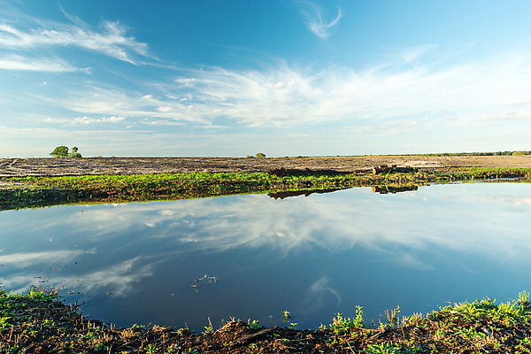 포토 JPG 해외이미지 구름 계절 호수 밭 농업 자연 하늘 표면 날씨 풍경 사람없음 야외 물 여름 파란색 반사 맑음 봄 흰색 시골 땅 생태학 수평선 해외포토 자연요소 교육 산업 컬러 생태계 파일형식 이미지허브