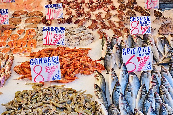 포토 JPG 해외이미지 동물 음식 바다 백그라운드 다이어트 재료 자연 낚시 조개 새우 건강 육류 어류 요리 사람없음 판매 세일 얼음 식사 이탈리아 회색 신선 시장 은색 지중해 먹기 해산물 오징어 날것 도미 문어 고등어 어장 나폴리 단백질 베이스 분양 생식 세피아 소금물 많음 해외포토 자연요소 유럽 컬러 컨셉 식재료 모션 현악기 레저 부동산 어패류 연체동물 촬영기법 갑각류 수중동물 생태계 영양소 파일형식 이미지허브