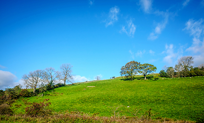 포토 JPG 해외이미지 영어 밭 농업 자연 영국 잉글랜드 풍경 사람없음 야외 울타리 농경지 평화 가축 시골 양 언덕 컴브리아주 해외포토 동물 문자 유럽 산업 컨셉 포유류 담장 농장 생태계 파일형식 이미지허브