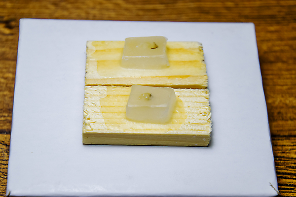 포토 JPG 해외이미지 건강 병원 사람없음 치료 약 건강관리 스크린 블록 시험 환자 조직 실험실 보호 질병 자르기 예방 핀셋 암 외과 엘리먼트 종양 침범 해외포토 교육 컨셉 의학 모션 실험 관리 도구 파일형식 이미지허브