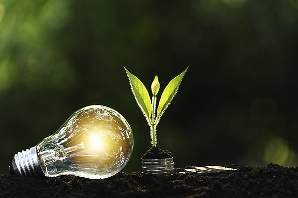 포토 JPG 해외이미지 모양 디자인 백그라운드 컨셉 비즈니스 전구 가정 자연 유리 조명 아이디어 매달리기 창조 사람없음 초록색 빛 환경 검은색 힘 재활용 장비 저축 에너지 흰색 램프 보호 정상 대표 오브젝트 백열등 만들기 빛망울 혁명 광 발명 효율 스타일 미니멀 해외포토 컬러 모션 재질 금융 친환경 생태계 파일형식 이미지허브