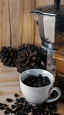 포토 JPG 해외이미지 커피 음료 음식 컨셉 농업 콩 씨앗 사람없음 목재 갈색 검은색 어둠 카페 에너지 머그컵 수확 신선 뜨거움 맛 낟알 굽기 질감 아로마 카푸치노 에스프레소 내추럴 단절 모카 카페인 해외포토 나무 식물 산업 컬러 재료 곡류 컵 상점 구이 파일형식 이미지허브